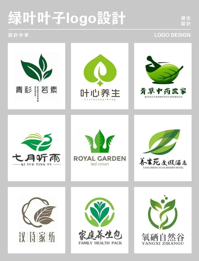 小绿叶修图软件免费下载