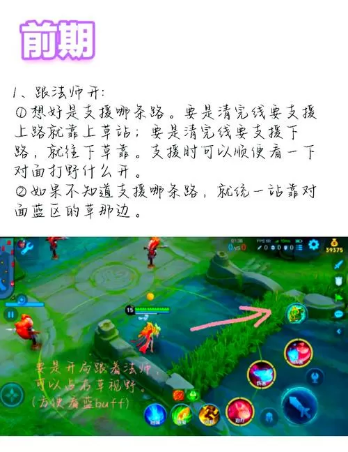 辅助怎么给队友视野