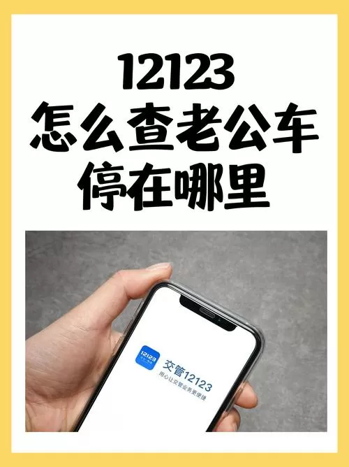 12123查询车位置的方法