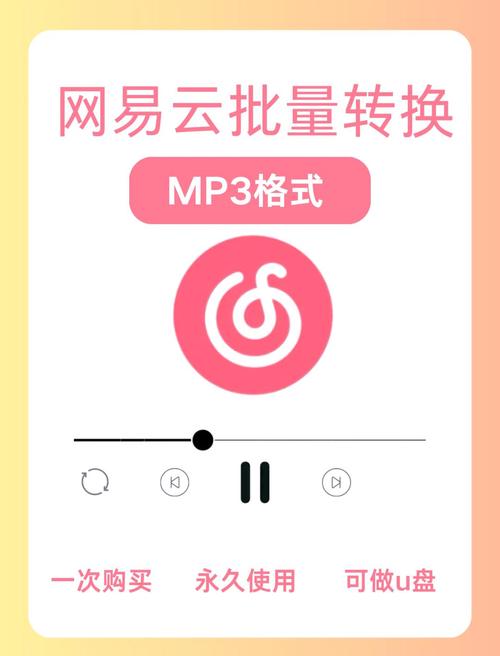 网易云音乐怎么变mp3格式了