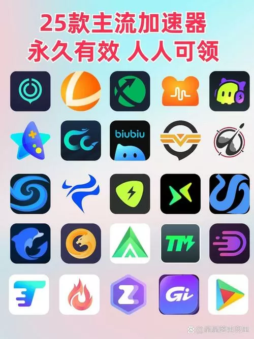 闪飞加速器官网下载图标