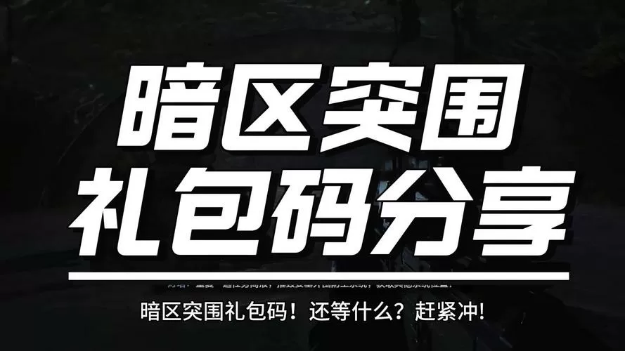 暗区突围的激活码