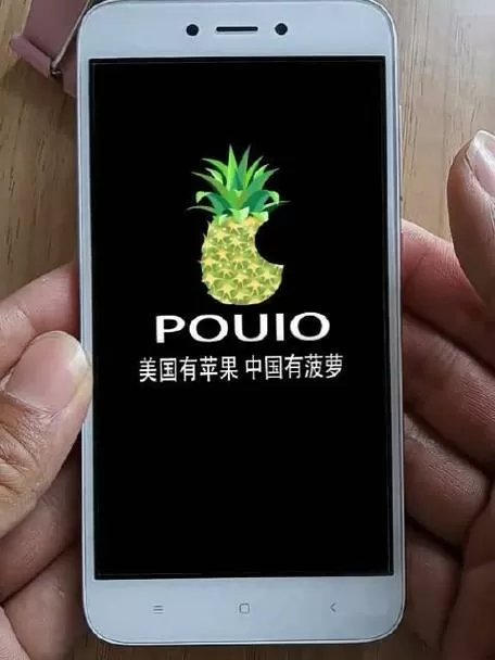 菠萝辅助1.3怎么使用