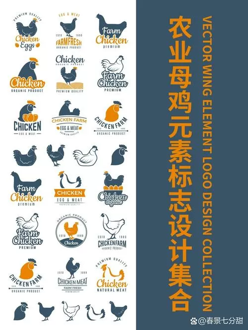 菜鸡2025最新版下载