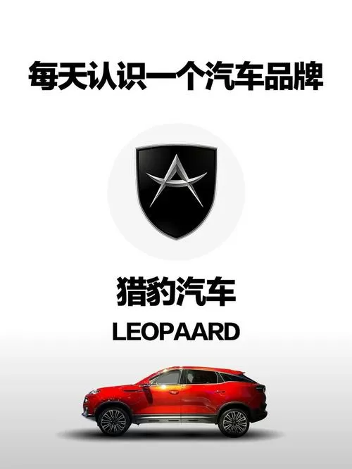 猎豹新能源为什么充不进去电
