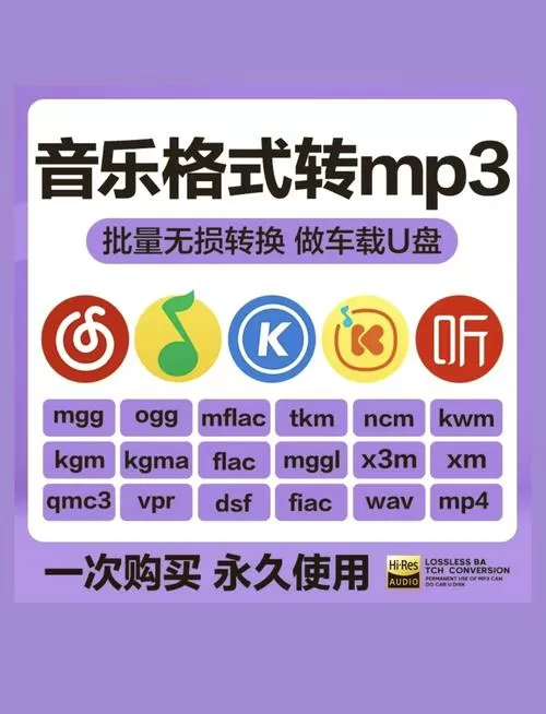 MP3 player翻译
