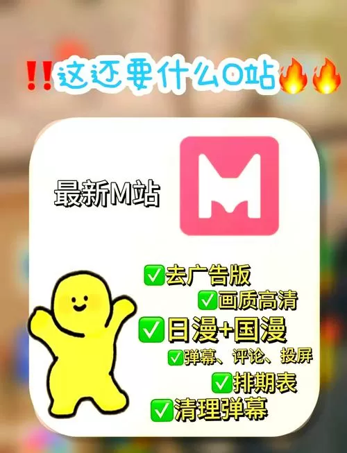 播放弹幕的视频播放器