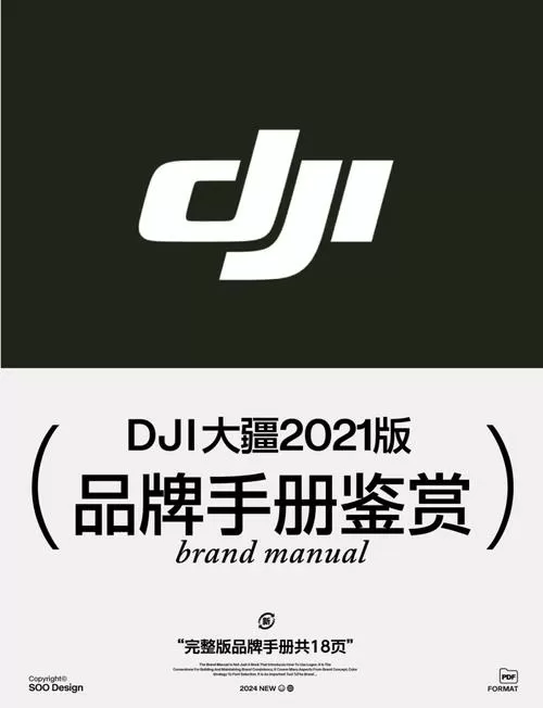 DJIvirtuaIfIight下载