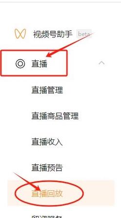 怎么把直播回放保存