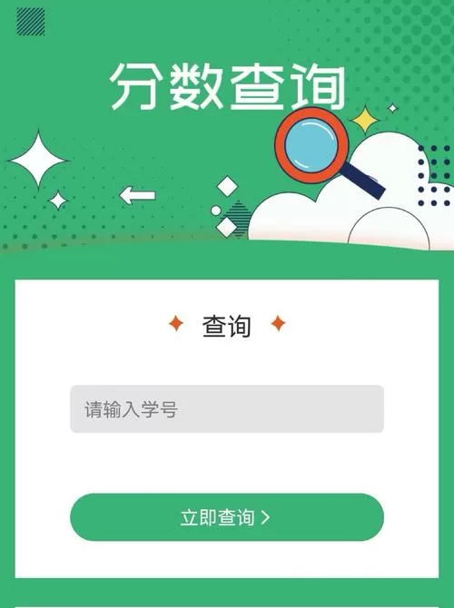 大数据分数怎么查
