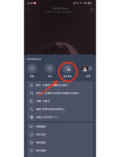 网易联机显示单人模式怎么改
