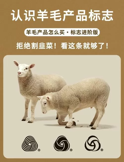 长期稳定的薅羊毛