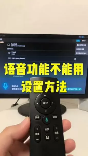 遥控器上的语音功能不能用了