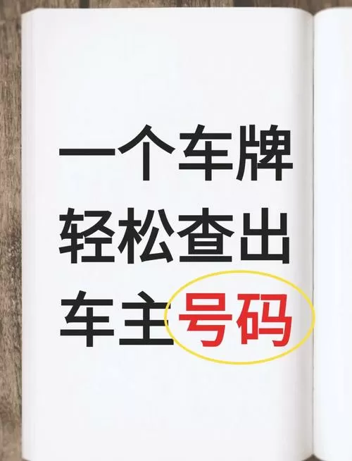 输入车牌号查定位