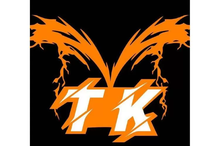 tk游戏有哪些