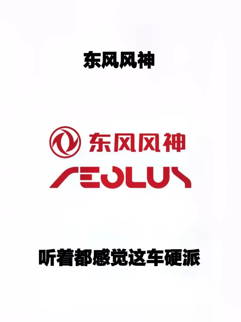 东风风神远程控制app