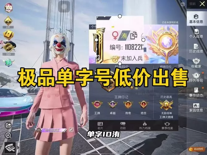 和平精英号出售平台官网