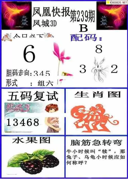 牛彩网今日3d字谜总汇