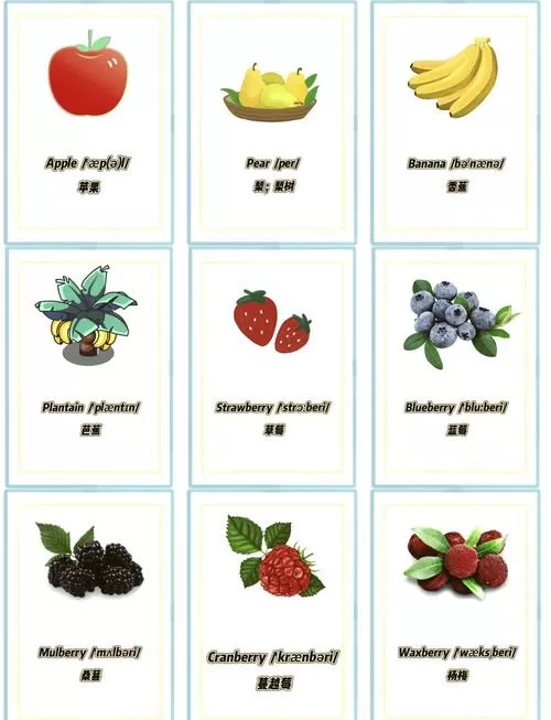 pearfix会员账号2023