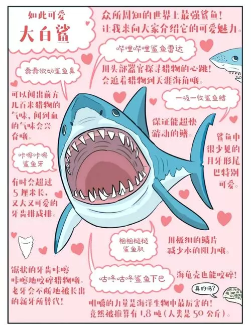 海底大猎杀鱼类全解析攻略贴