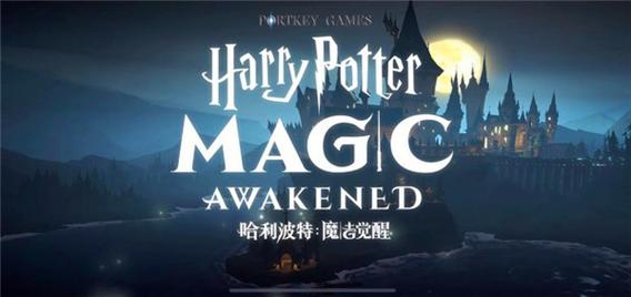 2025年哈利波特魔法觉醒兑换码