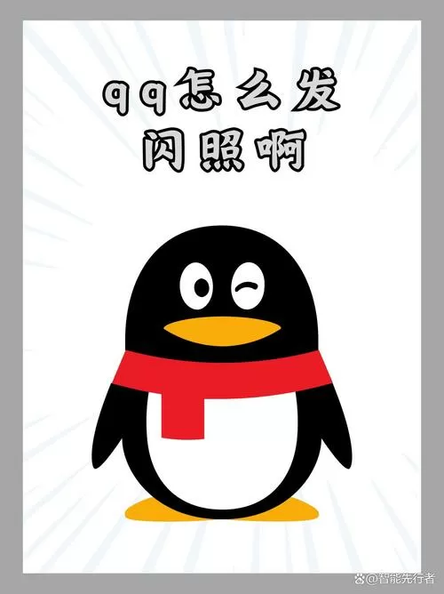 闪照破解极速版