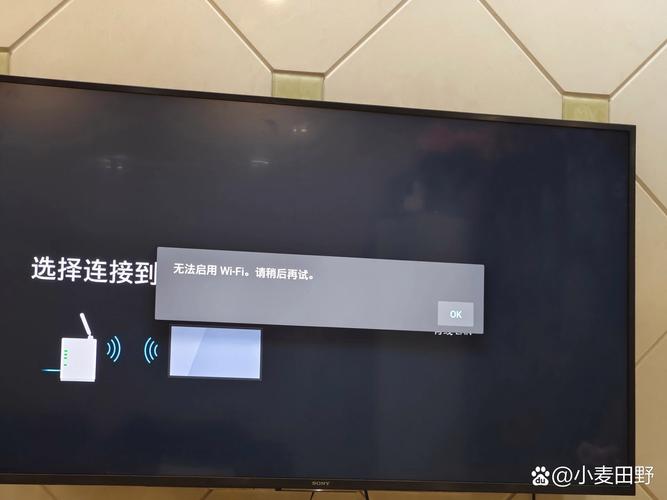 电视wifi设置打不开截图