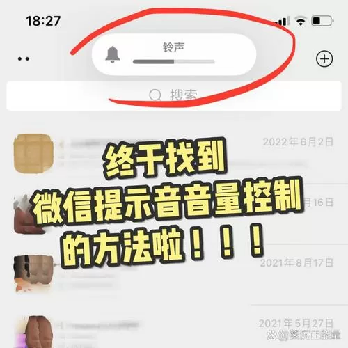 苹果手机微信声音大小在哪里调截图