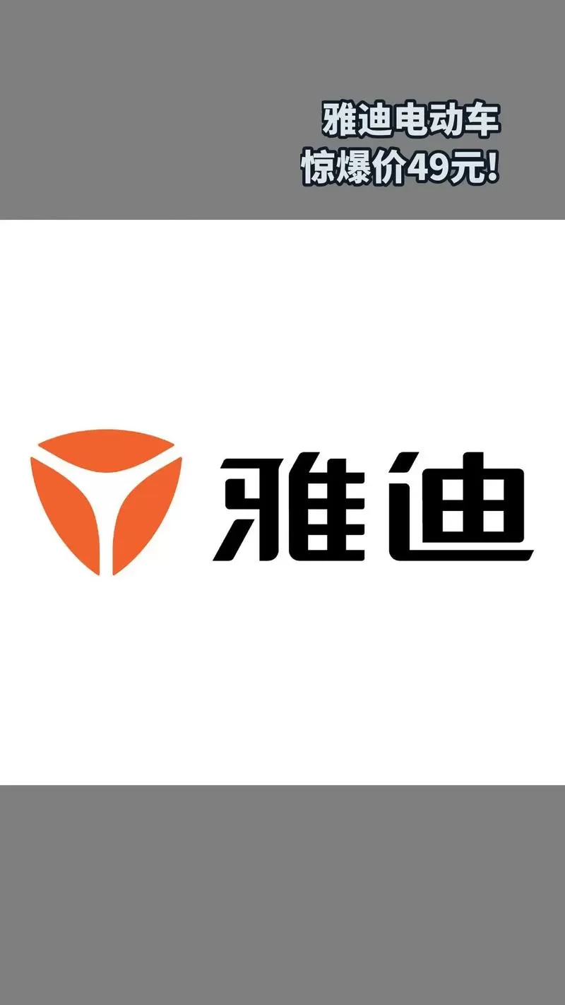 买雅迪的十大忠告