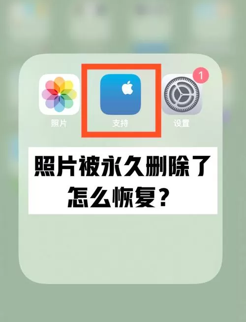 手机相册最近删除清空了怎么恢复