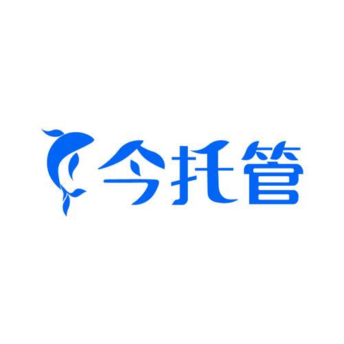 今托管app