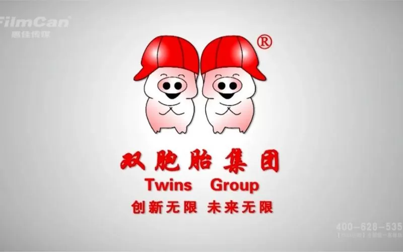 双胞胎几种组合