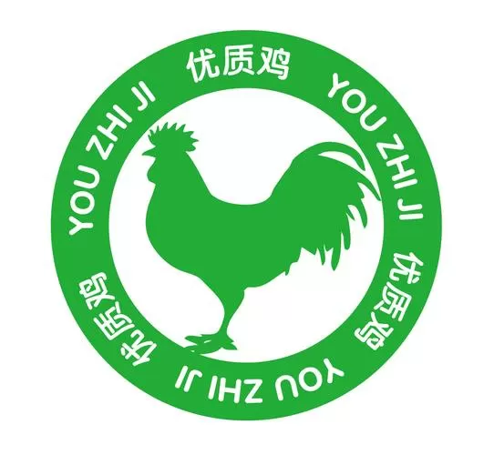 养鸡