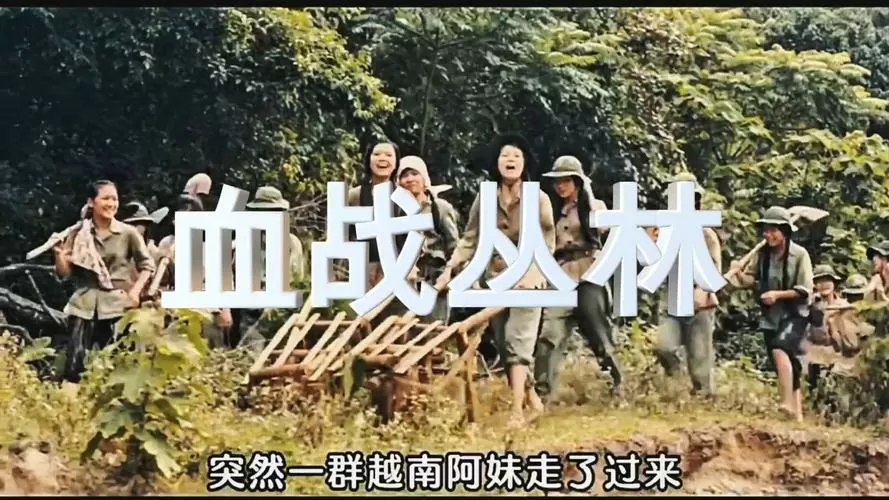血战丛林越南战争下集免费观看
