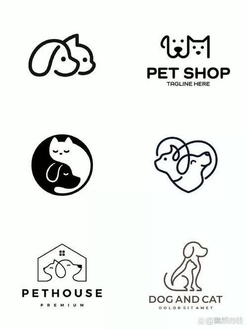 宠物店赚钱吗