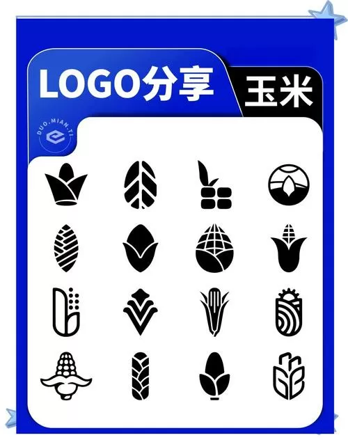 最近关于玉米的新闻