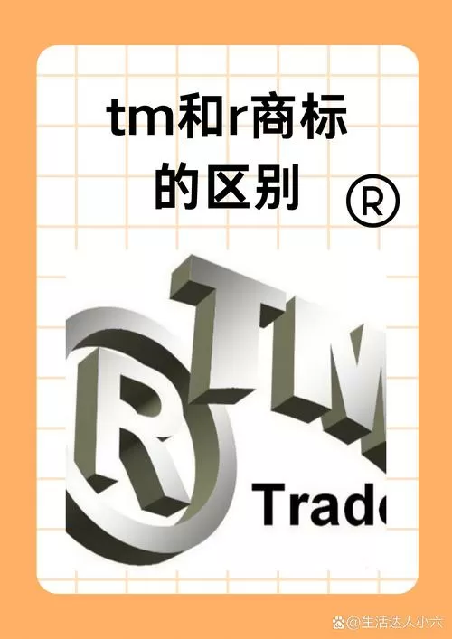 tm2013手机版下载
