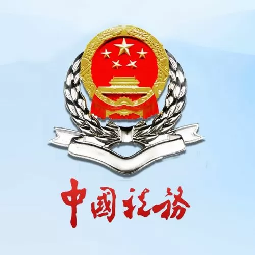 税务总局山东省电子税务局截图