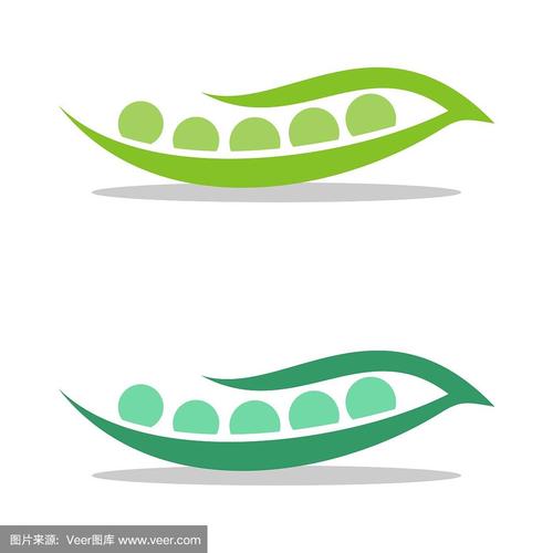 安豆种植时间和方法