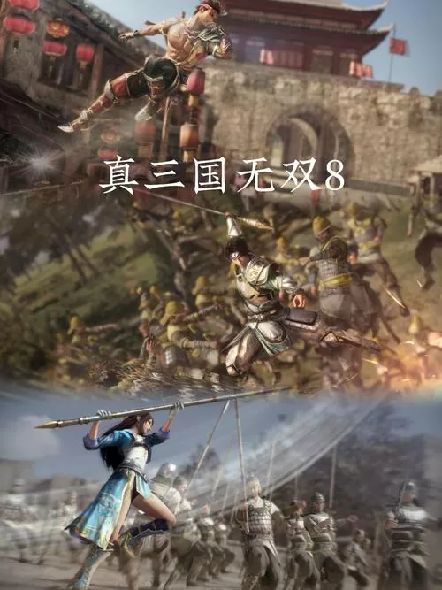 真三国无双8如何双人模式