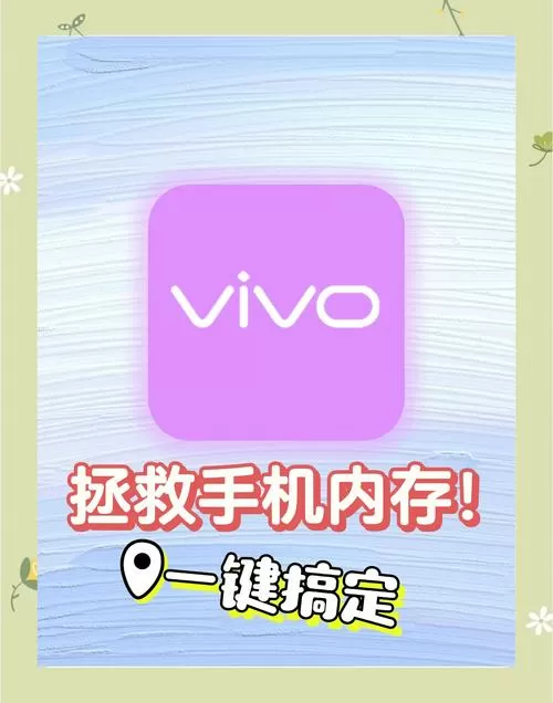 vivo深度清理在哪里