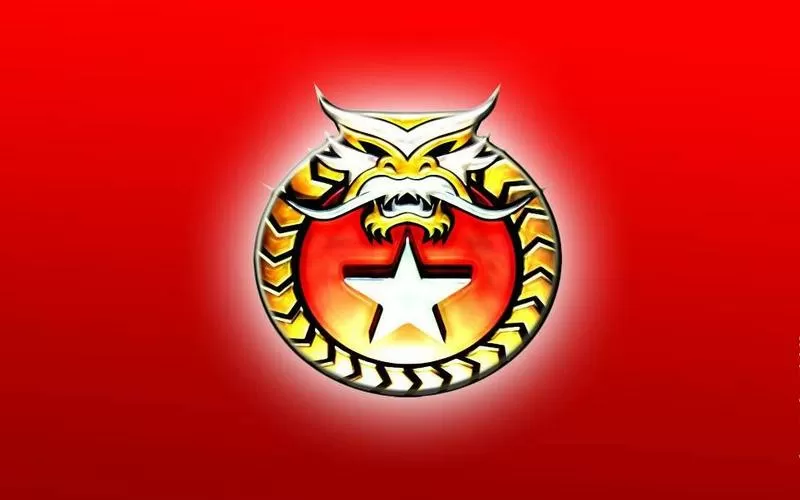 命令与征服将军分辨率