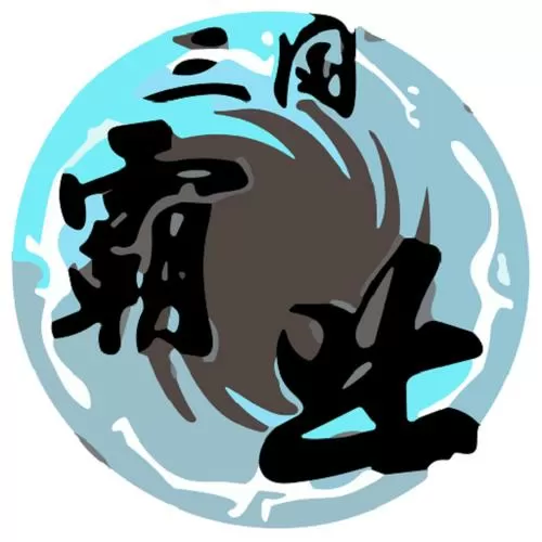 三国霸业秘籍输入不了