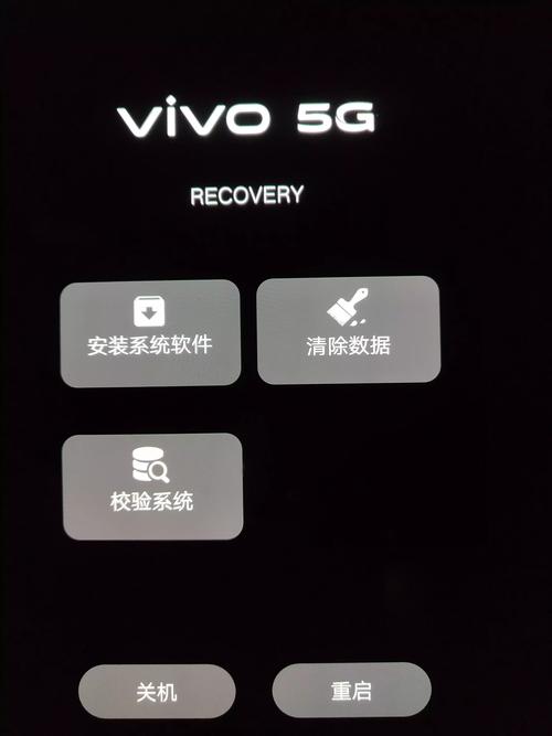 vivo一直卡在recovery