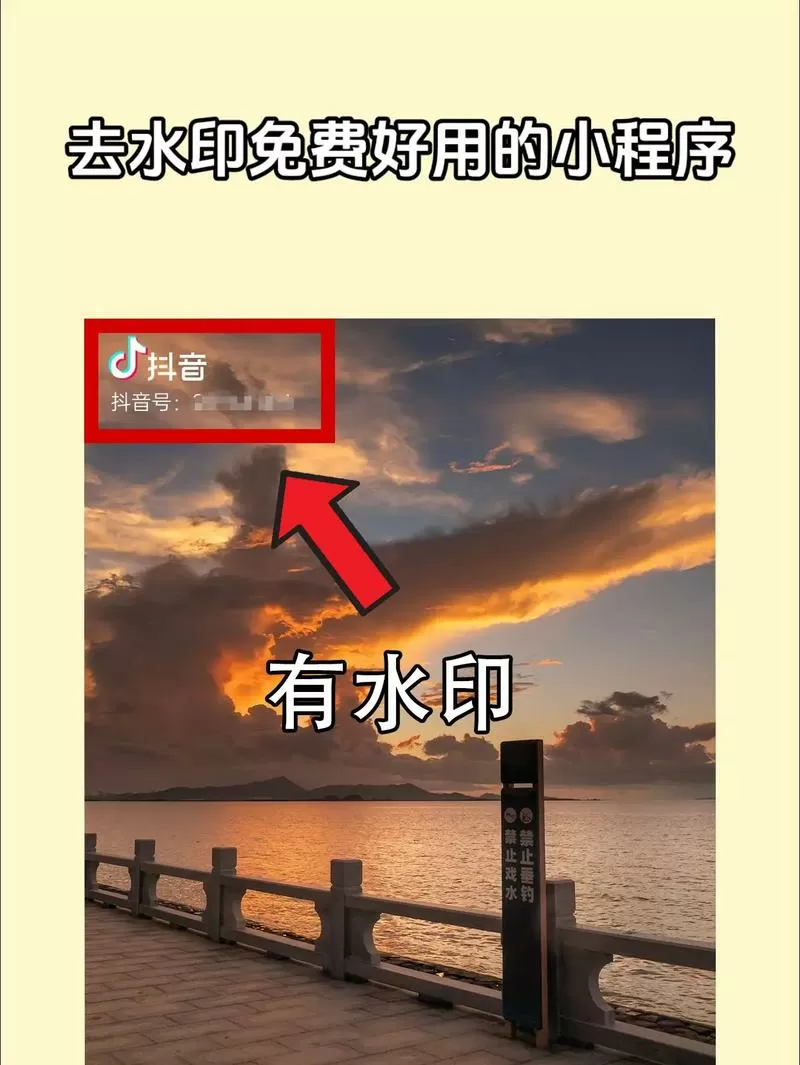 万能无痕视频去水印