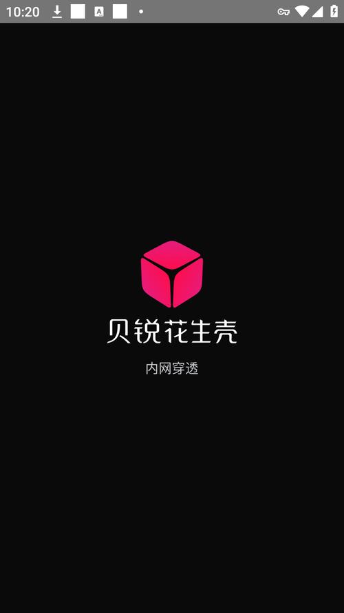 花生壳 p2p