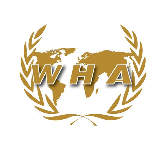 WorldTamer攻略