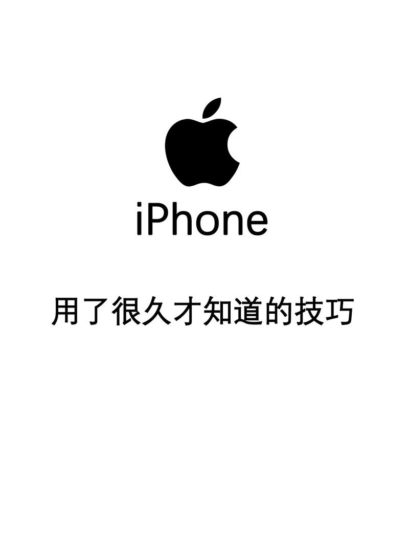 手机的快慢由什么决定的