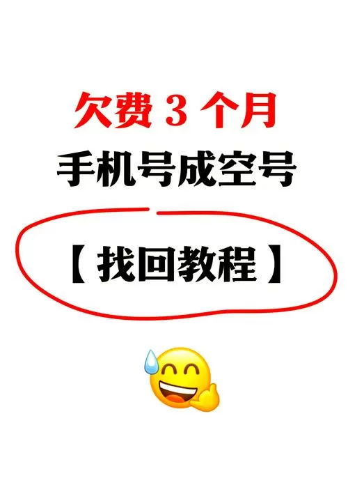 手机号长时间不用被别人用了怎么办