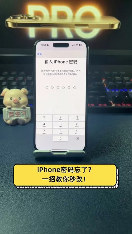 苹果手机app密码忘了怎么重新设置